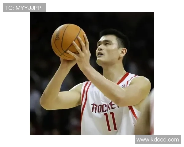 姚明前队员的职业生涯回顾与成就分析,探索他们在篮球界的影响力与未来发展